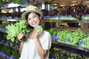Customers can choose untainted, hydroponic vegetables from the shelves of YATA in Tsuen Wan.