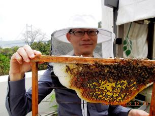 The main part of the hive is the honeycomb of hexagonal cells for breeding larvae and storing honey and pollen